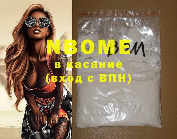 индика Бородино