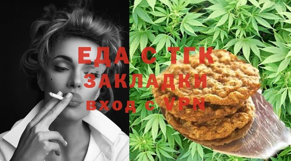 индика Бородино