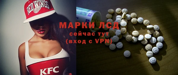 индика Бородино