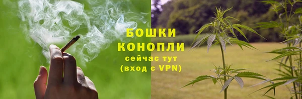 круглые Бронницы