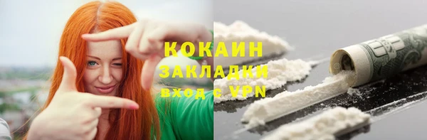 индика Бородино
