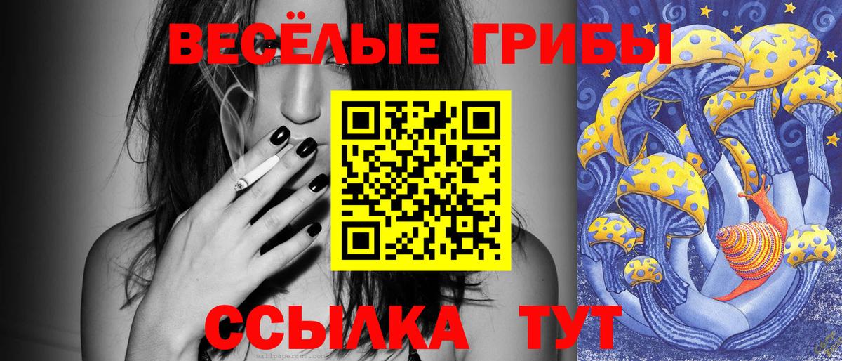 Наро-Фоминск  Галлюциногенные грибы мухоморы  Псилоцибиновые грибы прущие грибы  Вход с VPN 